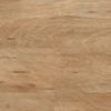 35_Alder_4401_large 35_Alder_4401_large